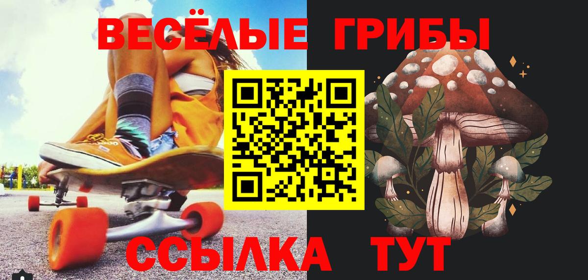 Вичуга  Галлюциногенные грибы Psilocybe  Вход с VPN  Псилоцибиновые грибы GOLDEN TEACHER 